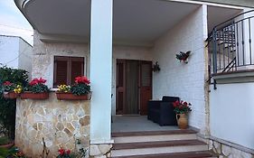 B&B Cardone